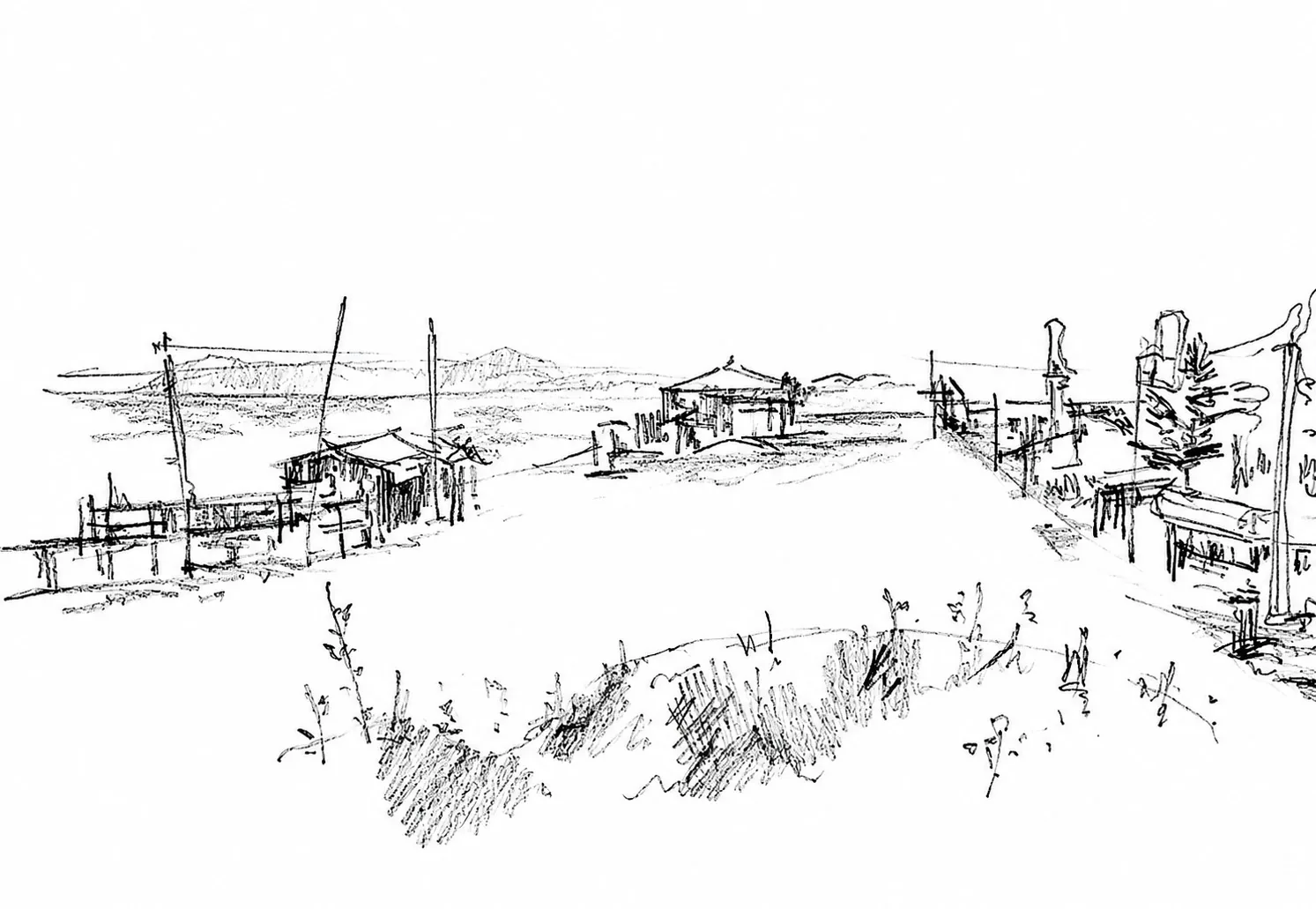 Aroeira drawing 2