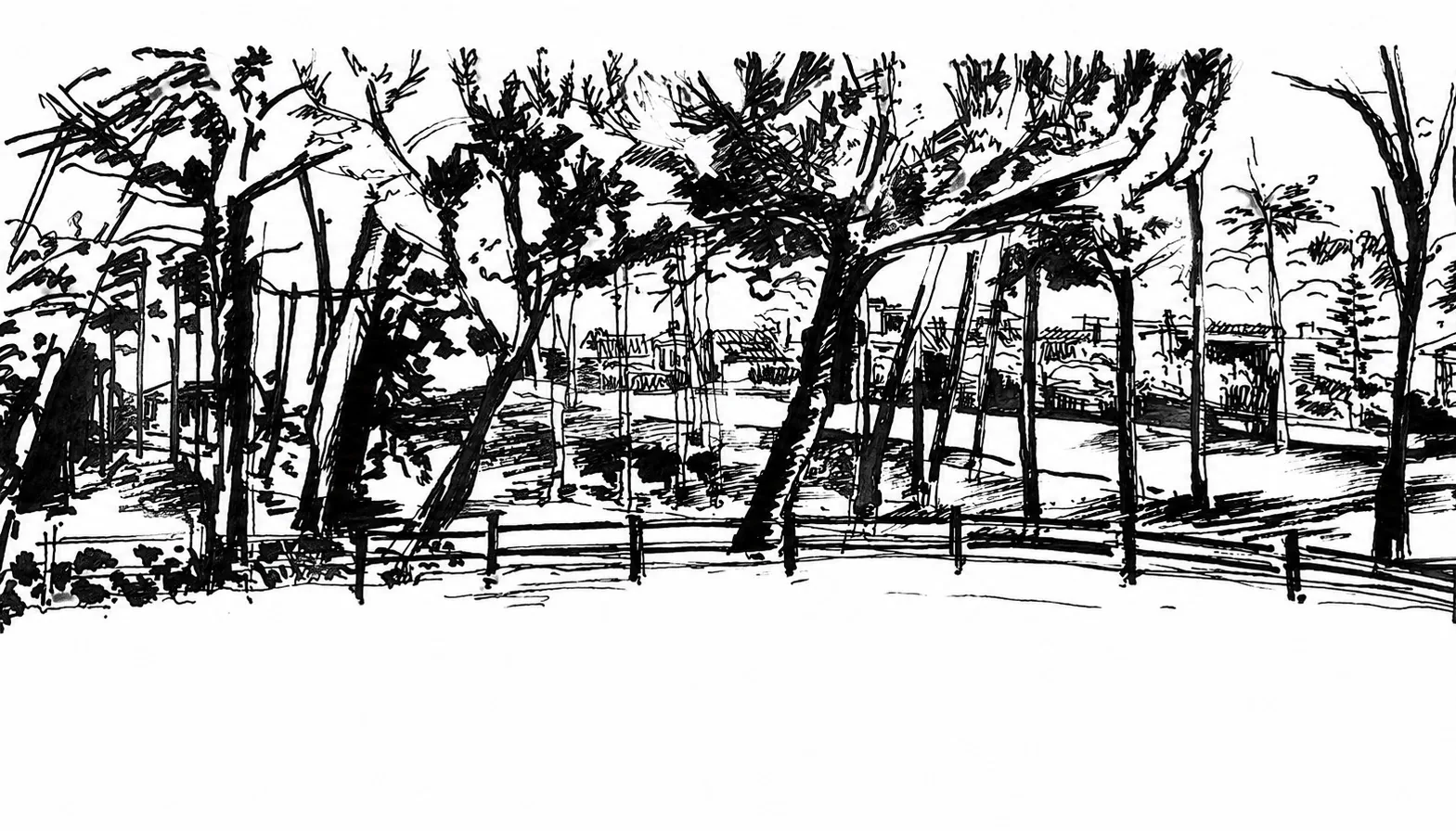 Aroeira drawing 3