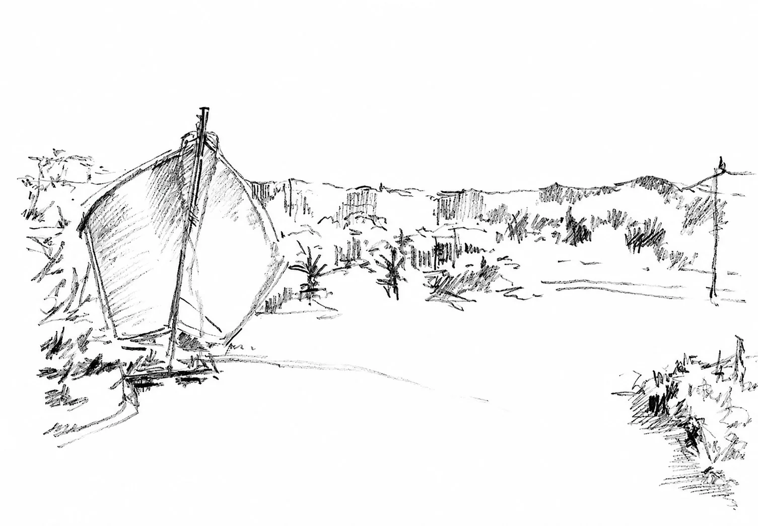Aroeira drawing 1